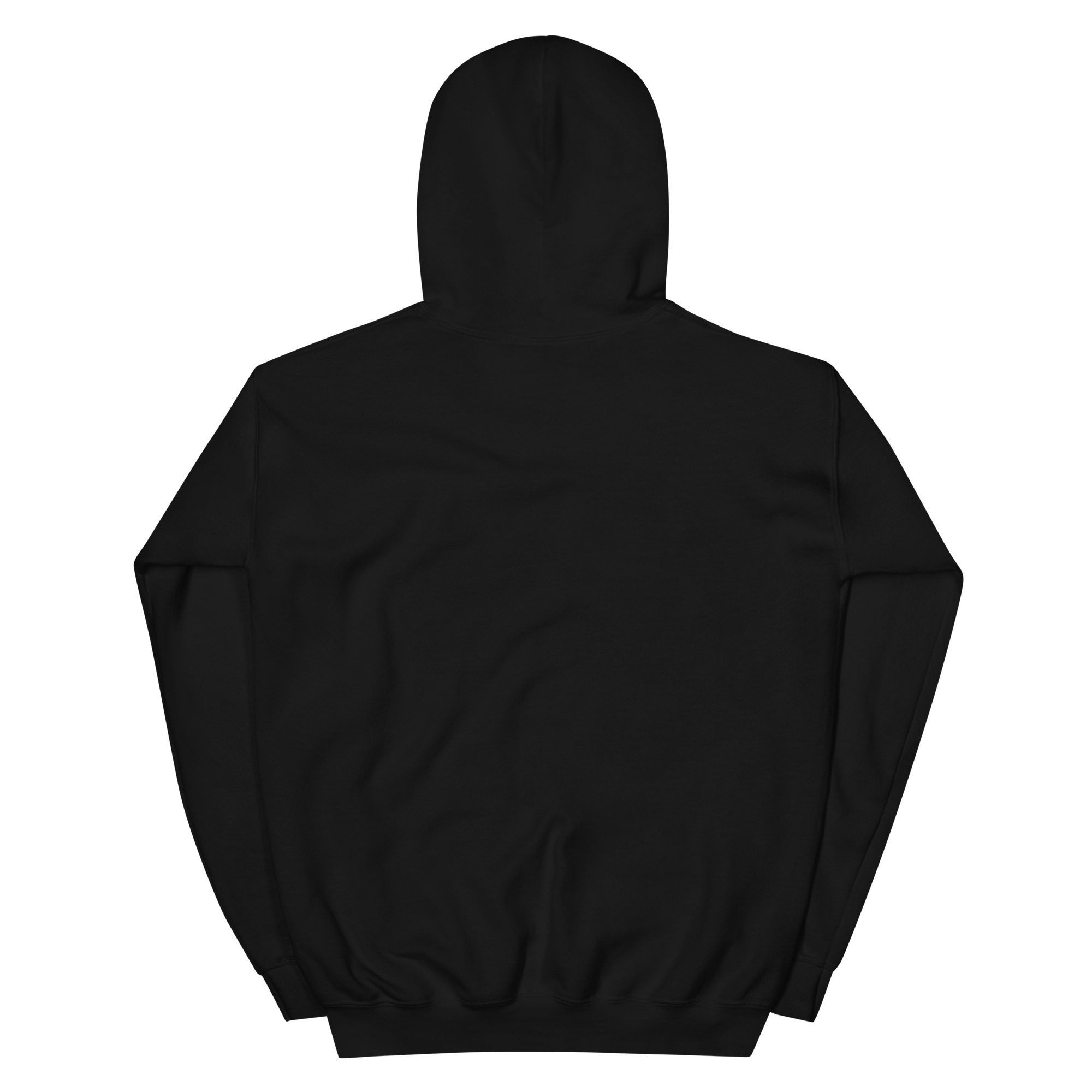 Würfelfuchs-Krieger - DTF-Unisex-Kapuzenpullover – Bild 2
