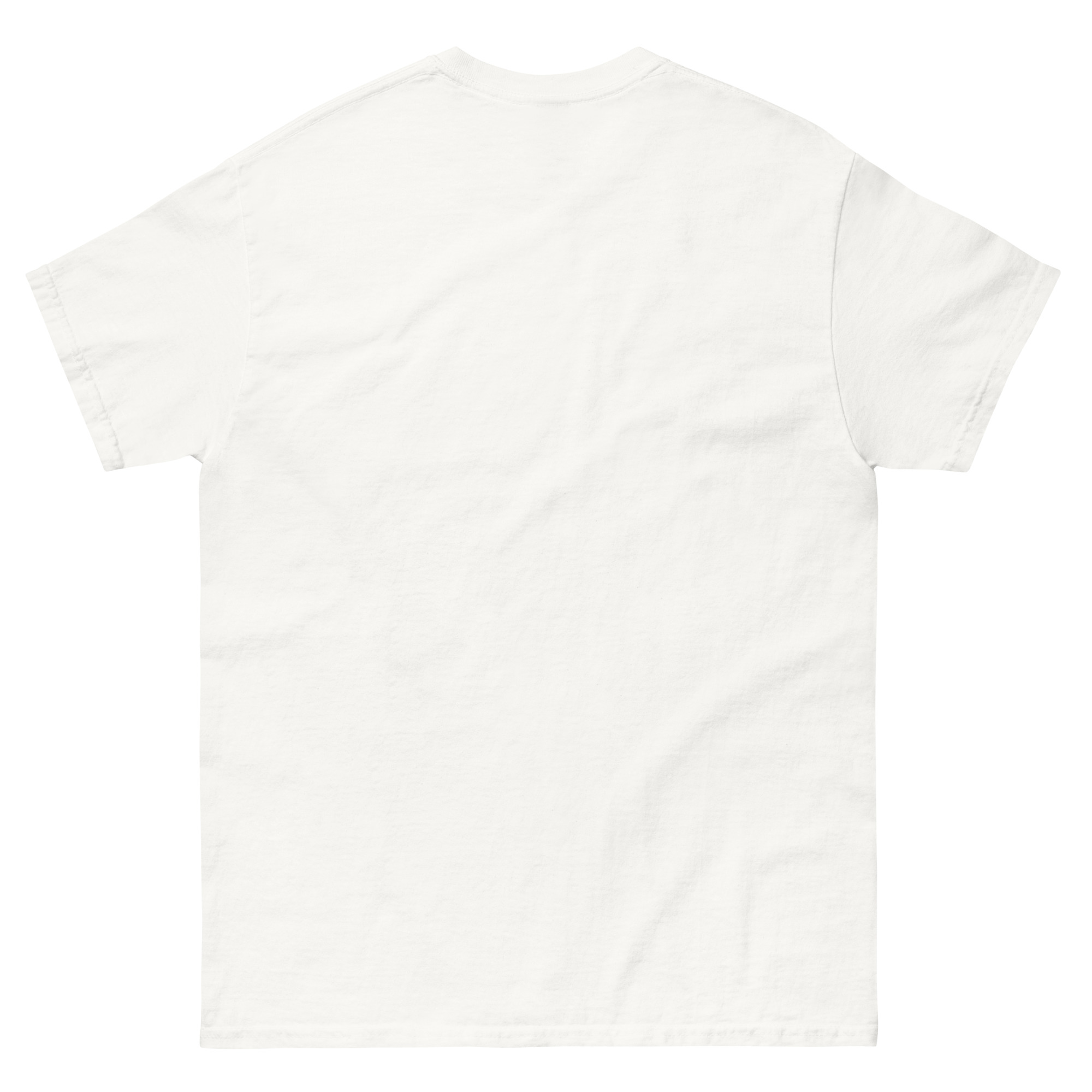 Arcane Dice Mage - Klassisches DTF-Unisex T-Shirt mit Werbung – Bild 26